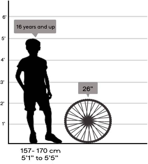 atlas celia cycle price