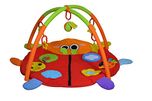 Sunbaby Lovely Lady Bird Playmat (Multicolor)