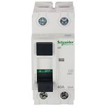 Schneider Acti 9 40-Amp 2-Pole 30Ma Rccb