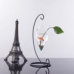 Generic Imported Olive Shape Glass Planter Wall Hanging Flower Vase Plant Bottle Home Decor