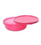 Tupperware Plastic Bowl, 1 Litre, Multicolour (TUP_B01BN8OEMW)
