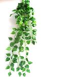 Miracle Retail Artificial Hanging Creeper Plant(Green, 90Cm)