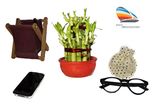 SMZ Brandlines - 2 Layer Lucky Bamboo Indoor Plant For Feng Shui (Total About 20 Stalks)