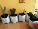 Cocogarden Medium Size Poly Growbags -Uv Stabilized -8 Qty [24Cms(L) X24Cms(W) X40Cms(H)]