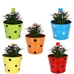 Trust Basket Single Pot Railing Planter, Set of 5 (Red, Yellow, Blue, Orange, Green)