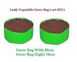 Vgreen Garden Store Terrace Gardening Leafy Vegetable Green Grow Bag (Set Of 2)
