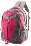 GLEAM Trendy Multicolour School Bag (Pink & Grey)