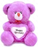 Richy Toys Teddy Bear Birthday Soft Toy For Kids - 50 Cm (Purple)