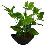 Fancy Mart Artificial Green Leaves Plant With Boat Shape Pvc Black Pot