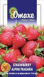 Omaxe Strawberry Alpine Fragaria, 30 seeds Seed