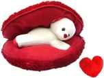 Saugat Traders Big Heart Teddy with Small Heart  - 9.84 Inch(Red)