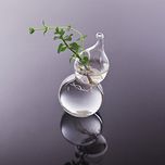 Imported Calabash Shape Glass Wall Hanging Flower Vase Plant Bottle Home Decor