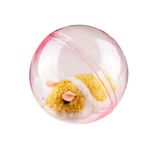 Hamleys Rolling Hamster, Multi Color