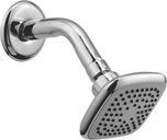 Kamal Rozy With Arm Shower Head