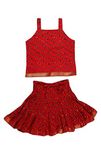 Jaipur Kala Kendra Baby Girls Casual Skirt Top Party Dress Lehanga Choli Summer Kids Gift Skirts Tops Blouse Red 6-12 Months