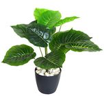 Fourwalls Miniature PVC Artificial Plant (54 cm, Green, AP 12 HD R347-1195)