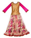 My Lil Princess Girls Lehenga Choli Ethnic Wear for Birthday Party & Festivals Size 3-10Years