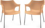 Nilkamal Plastic Living Room Chair(Finish Color - Brown)
