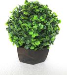 Miracle Retail Bonsai Wild Artificial Plant  with Pot(18 cm, Multicolor)
