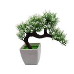 Hyperboles Artificial Plant Pine Bonsai Tree For Home Office Decoration(White-Green)