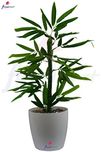 Fancy Mart Artificial Bamboo Tree (Size 1.5 Ft/18 Inchs/ 45 cms) Without Pot-1283
