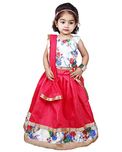 Najara Fashion Pink Silk & Print Lehnga Choli Set
