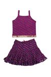 Jaipur Kala Kendra Baby Girls Casual Skirt Top Party Dress Lehanga Choli Summer Kids Gift Skirts Tops Blouse Purple 12-18 Months