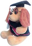 Richy Toys Graduate Musical Dog Stuffed Teddy Bear For Kids - Brown