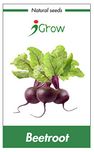 Naturally Treated Organic Beet Root Seeds (100 seeds)