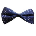 Red Eye Polka Print bow tie