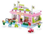 Sluban Play bricks Girls Dream Snooker Club, Multi Colour