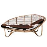 Ira Cane Art 2 Seater Designer Sitting Sofa With Cushion.