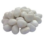 JaipurCrafts Pebbles Glossy Home Decorative Vase Fillers White Stone- 500 gm