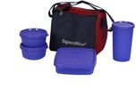 Signoraware Best Lunch Box (with Bag) 4 Containers Lunch Box(900 ml)