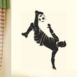 Aquire Extra Large PVC Vinyl Sticker(Pack of 1)