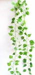 Miracle Retail (Set of 2) Artificial Plant(210 cm, Green)