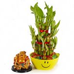 Giftacrossindia Laughing Buddha with Good Luck Bamboo Plant in a Smiley Bowl