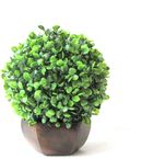 Miracle Retail Artificial Plant  with Pot(21 cm, Green, Brown)