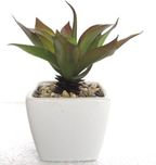 Miracle Retail Bonsai Artificial Plant  with Pot(15 cm, Multicolor)