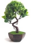Hyperbole Bonsai Wild Artificial Plant  with Pot(26 cm, Green)