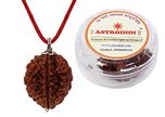 Astrodidi 2 Mukhi Rudraksha / Two Face Rudraksha / 2 Face Rudraksha Silver Pendant with Lab Certificate 100% Original, Natural & Real Rudraksh