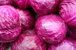 Biocarve Red Cabbage Seeds - Pack Of 50 Seeds