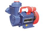 Crompton Greaves Mini ganga II 0.5 H.P Water pump