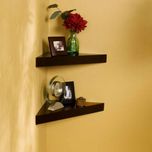 New Look Steel Wall Shelf(Number of Shelves - 2, Brown)