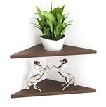 Bluewud Conak Wall Decor Shelf Display Rack - Wenge (Set of 2)