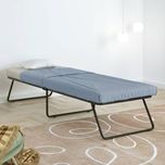 Camabeds Smart Guest Folding Bed Metal Single Bed(Finish Color -  Black)