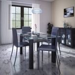 HomeTown Presto Glass 4 Seater Dining Set(Finish Color - Black)