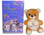 gifts for friends - So Sorry Soft Teddy Bear