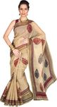 Pavechas Printed Daily Wear Polycotton Saree(Beige)