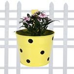 TrustBasket Single Pot Railing Planter - Yellow with Dots